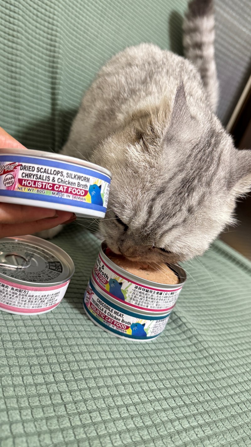 女人知己試用大隊,口碑行銷,部落客行銷,PURRFACT 波菲特貓用主食罐,主食罐,PURRFACT波菲特,貓主食罐,貓罐,PURRFACT波菲特貓用主食罐,魚肉蔓越莓主食罐,鮮嫩雞主食罐,鹿肉雞肉主食罐,牛肉鵪鶉貓主食罐,干貝蠶蛹配方,鱷魚肉白木耳配方,雞肉魚肉配方,安心鶉配方,評價,體驗,適口性佳,心得,成貓適用,高齡貓適用,質地是慕絲狀